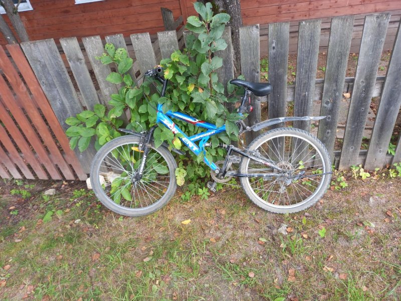 Полицейские Устьянского район задержали подозреваемого в краже велосипеда